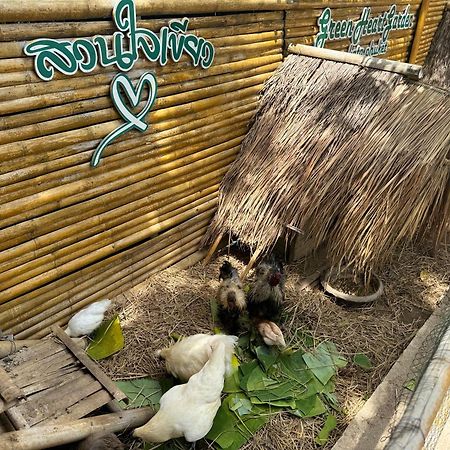 Greenheart Garden View Camp Phuket Kata Beach  Exterior foto